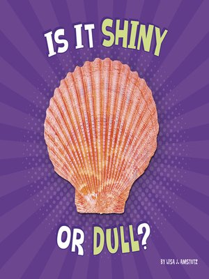 cover image of Is It Shiny or Dull?